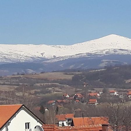 Apartman Vienna Sokobanja Extérieur photo