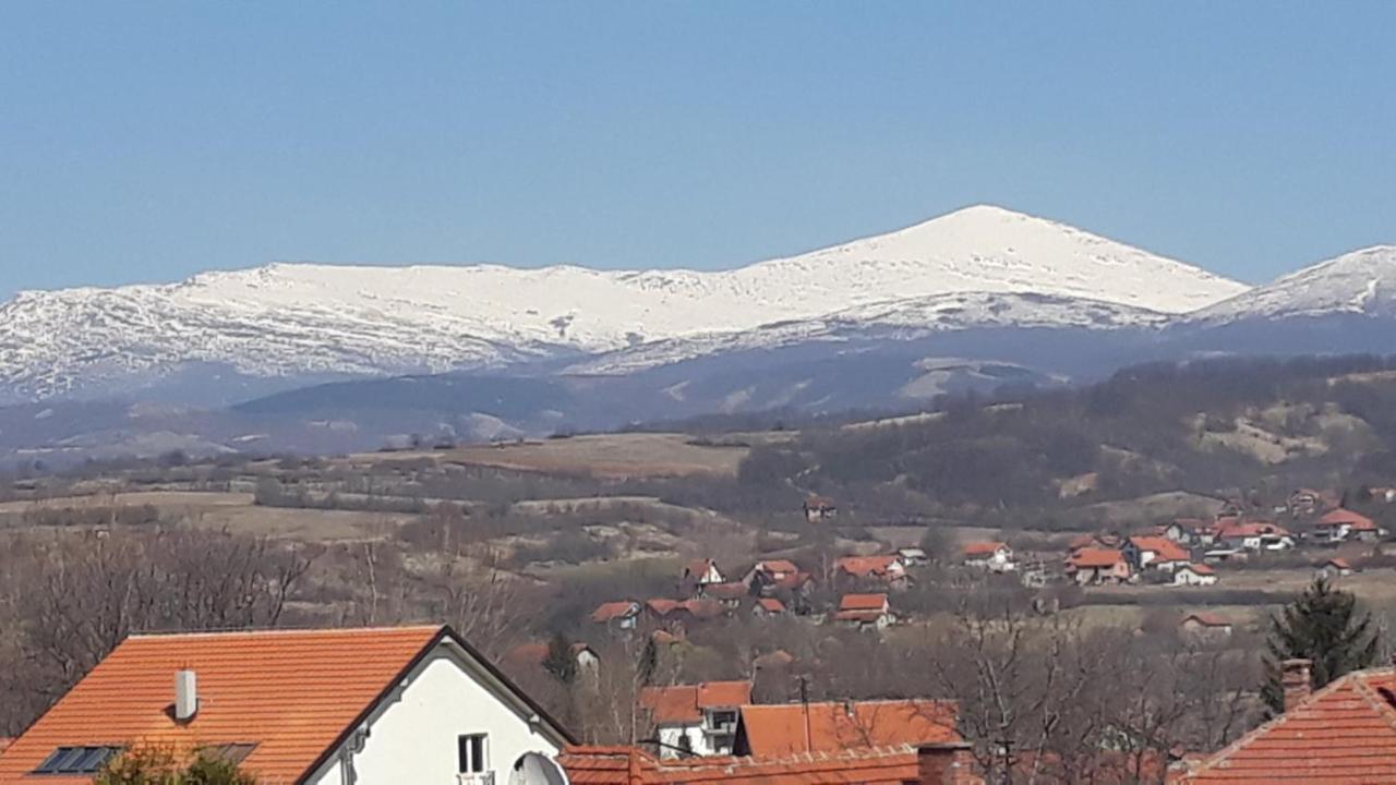 Apartman Vienna Sokobanja Extérieur photo