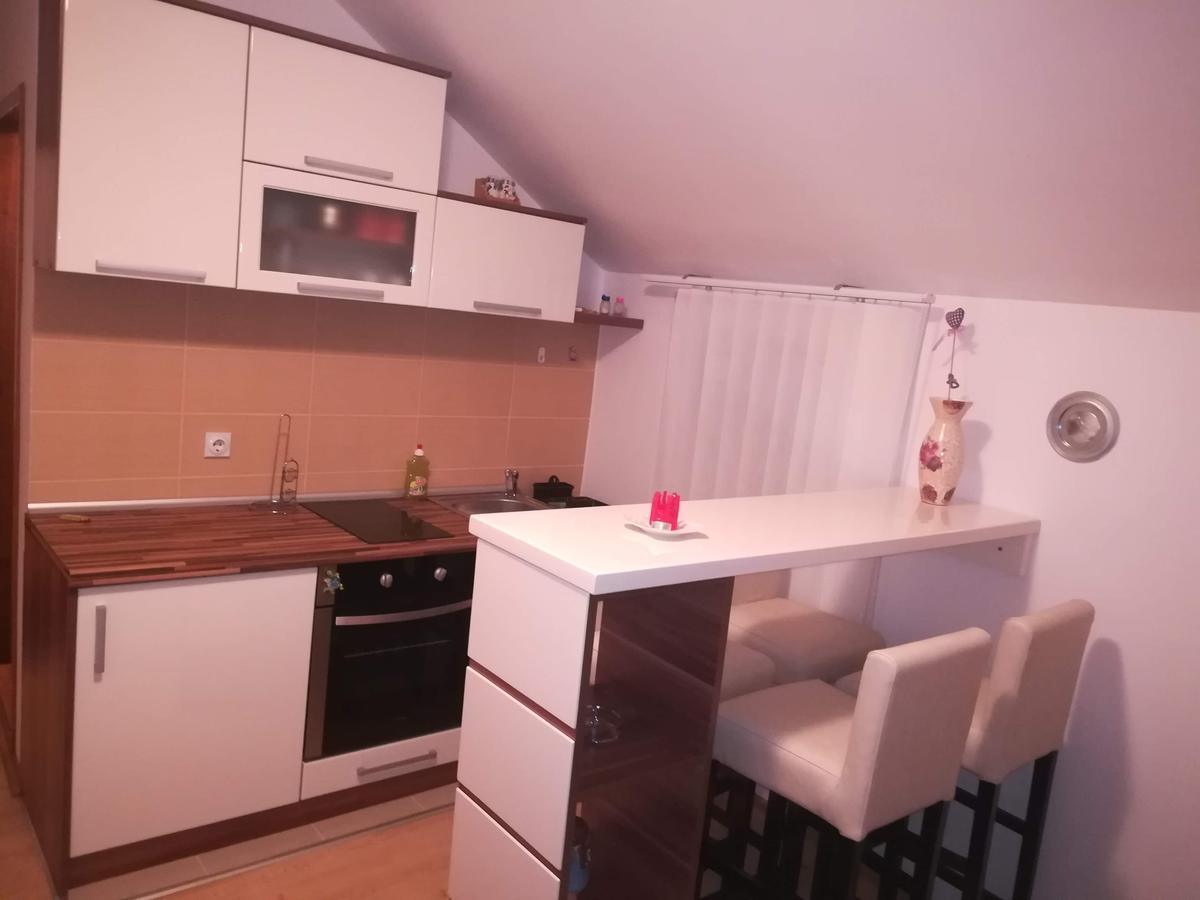 Apartman Vienna Sokobanja Extérieur photo