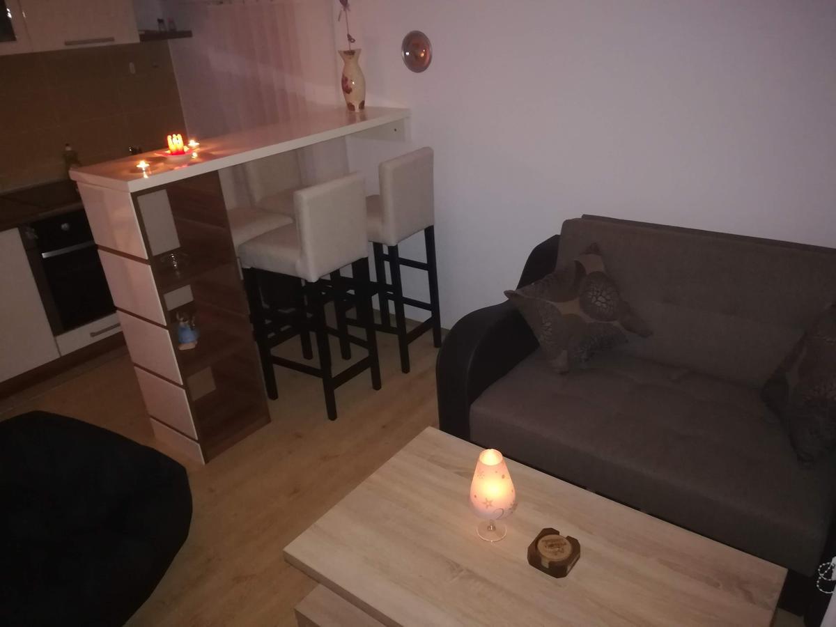 Apartman Vienna Sokobanja Extérieur photo